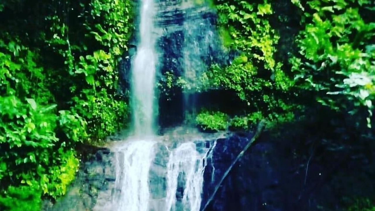 Photo of Outdoor in Catemaco