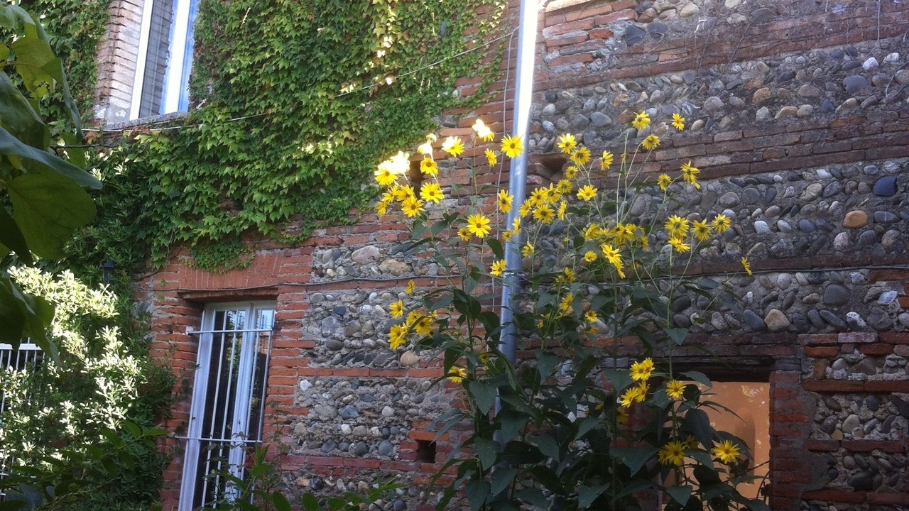 Photo of Outdoor in Fenouillet