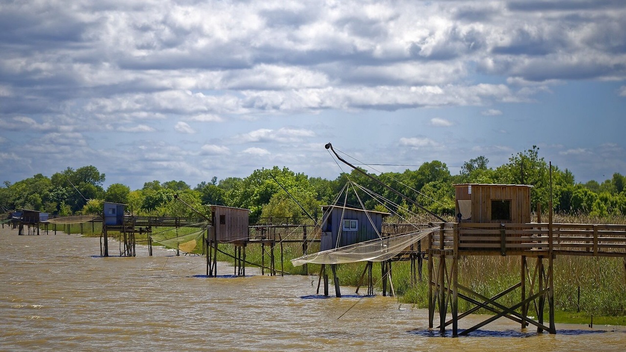 Photo of Others in Listrac-Medoc