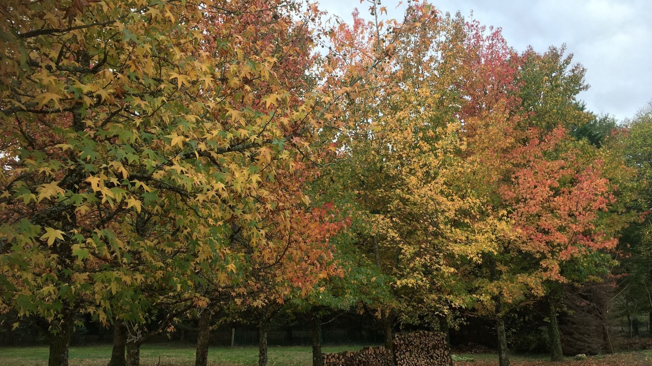 Photo of Outdoor in Listrac-Medoc