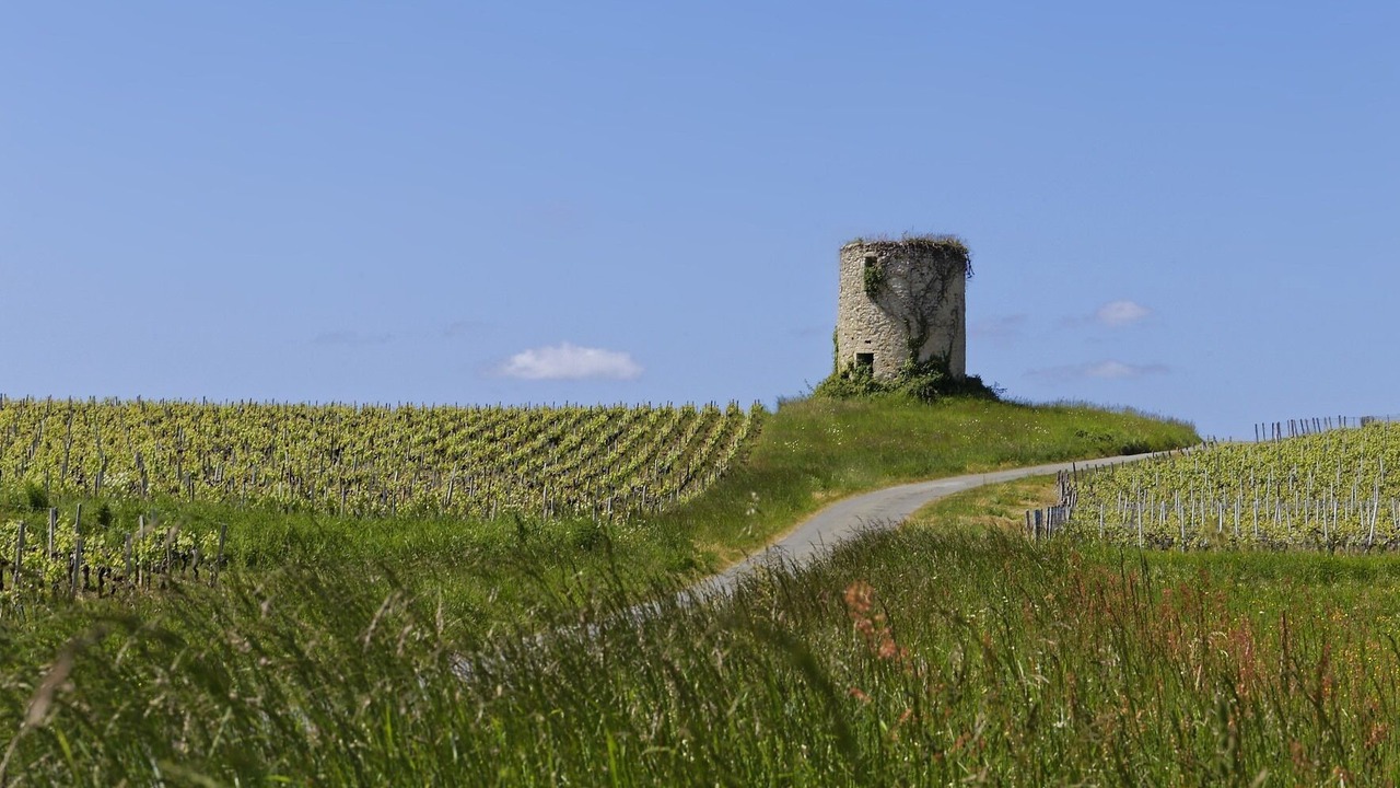 Photo of Others in Listrac-Medoc