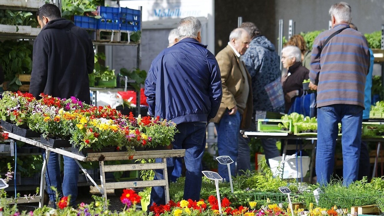 Photo of Others in Listrac-Medoc