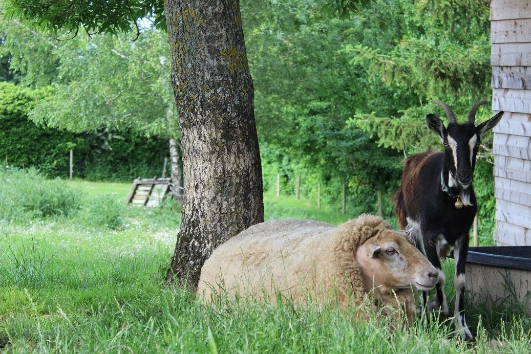 Photo of Outdoor in Caussens