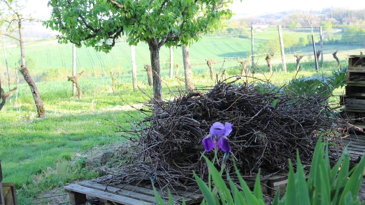 Photo of Outdoor in Caussens