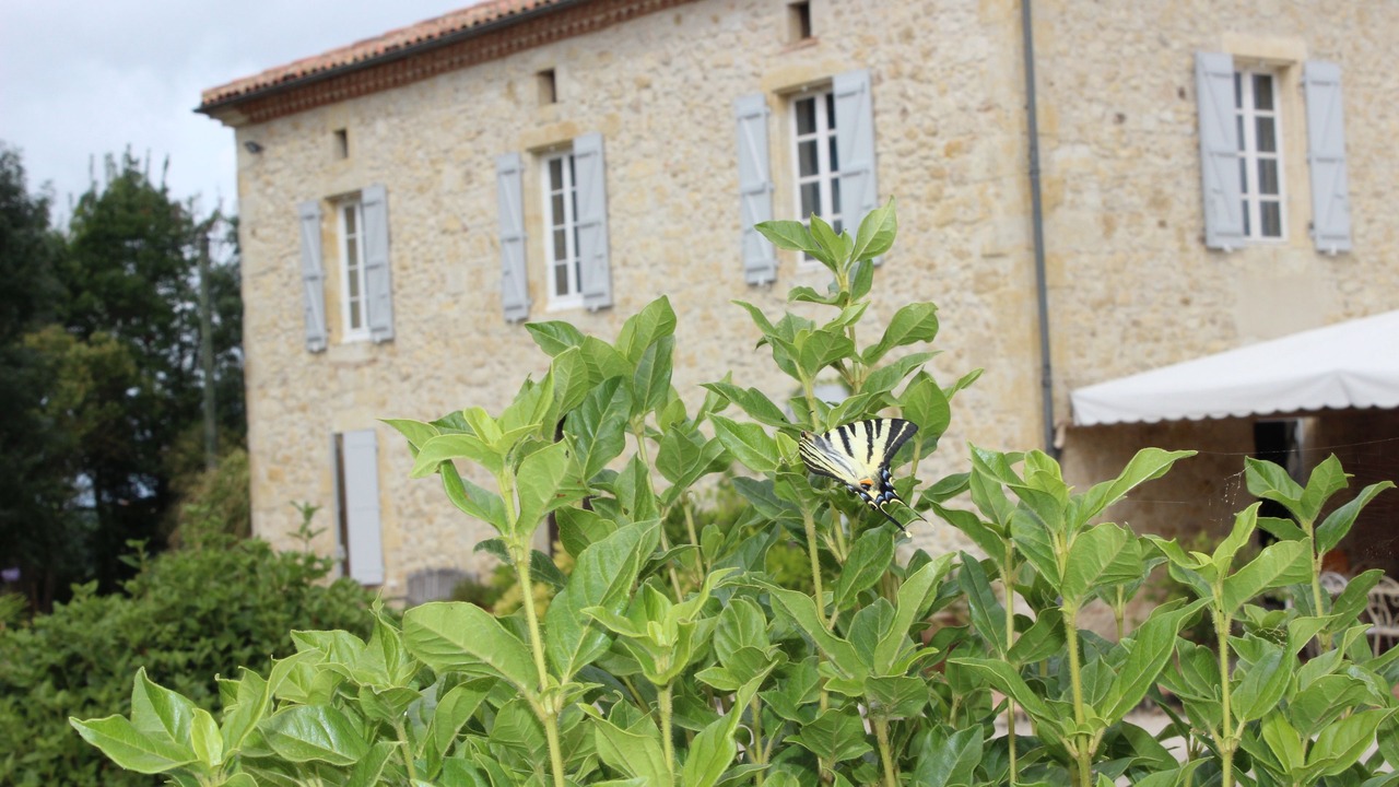 Photo of Outdoor in Caussens