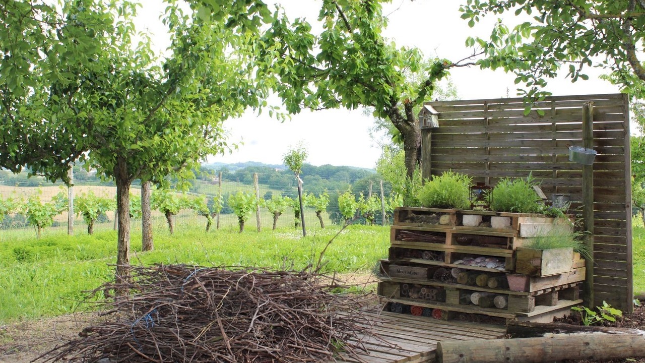 Photo of Outdoor in Caussens