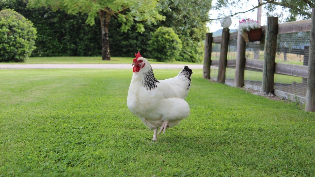 Photo of Outdoor in Caussens