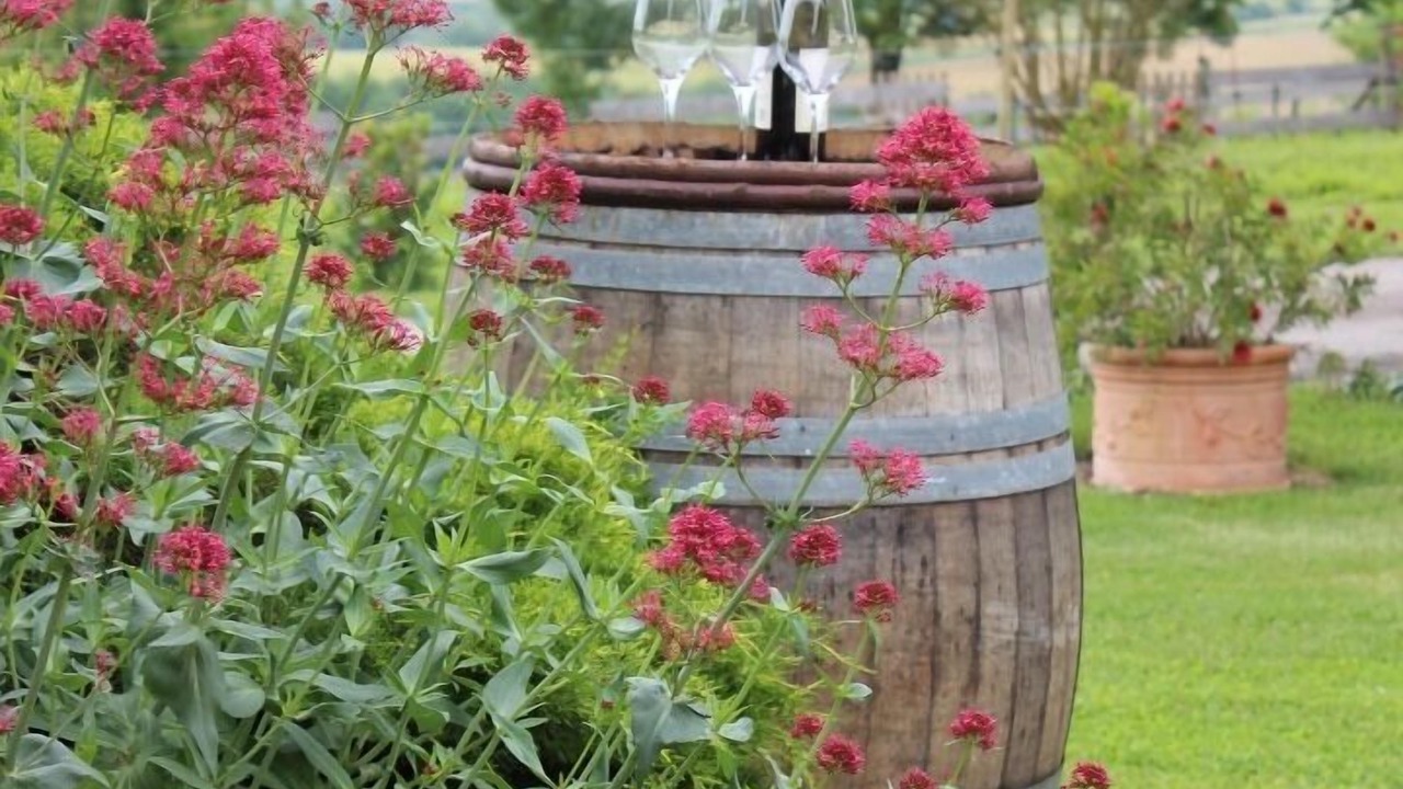 Photo of Outdoor in Caussens