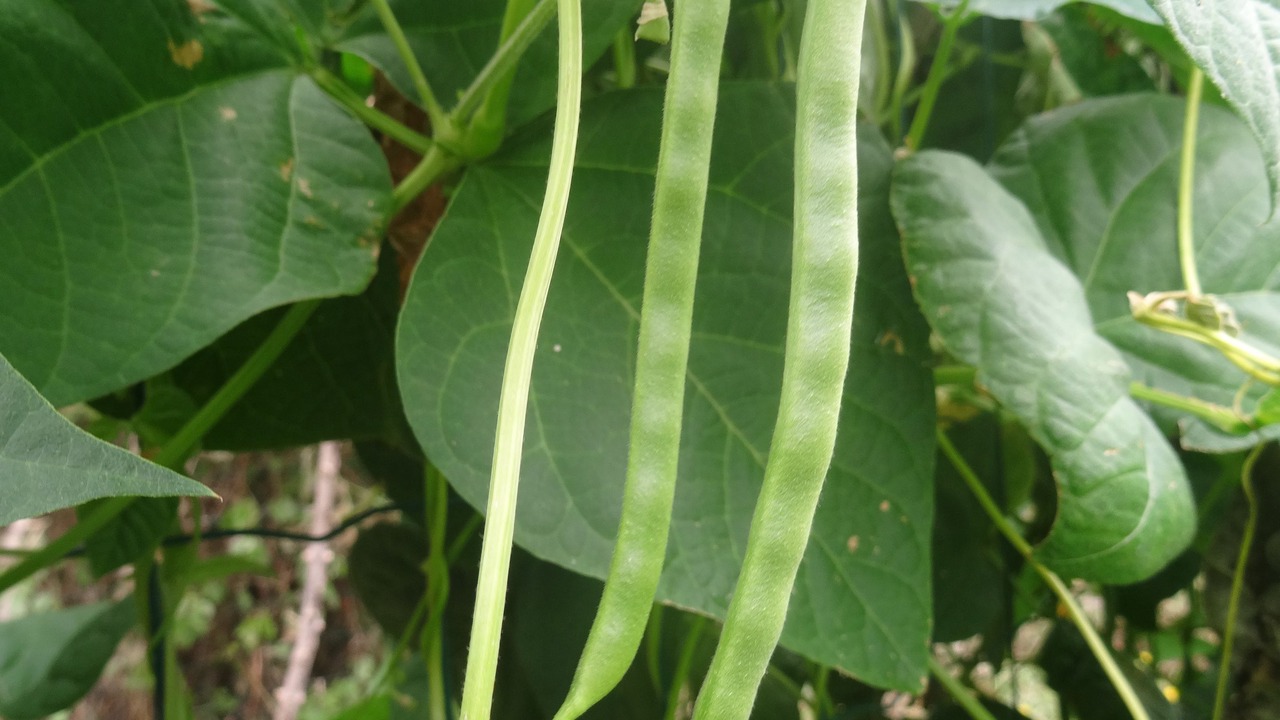 Photo of Outdoor in Sainte-Severe