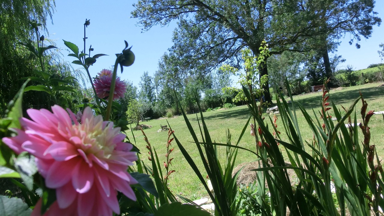 Photo of Outdoor in Sainte-Severe