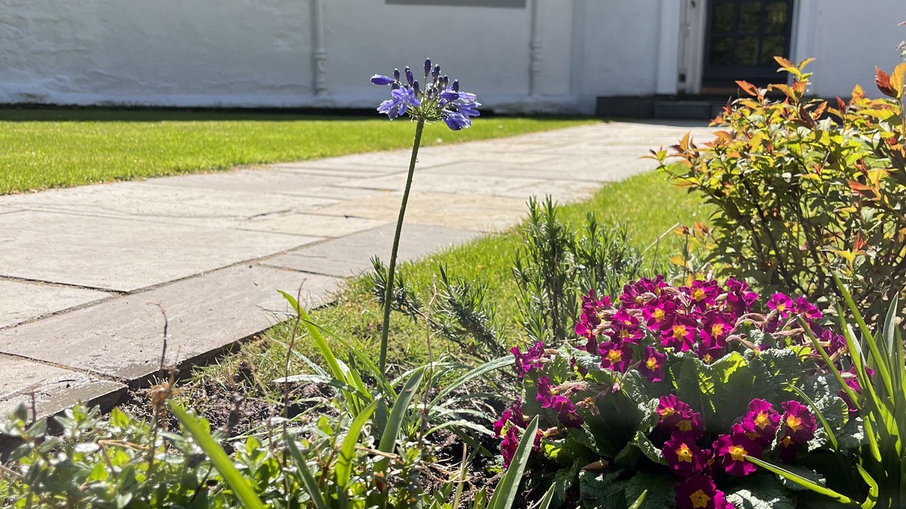 Photo of Outdoor in Glasgow
