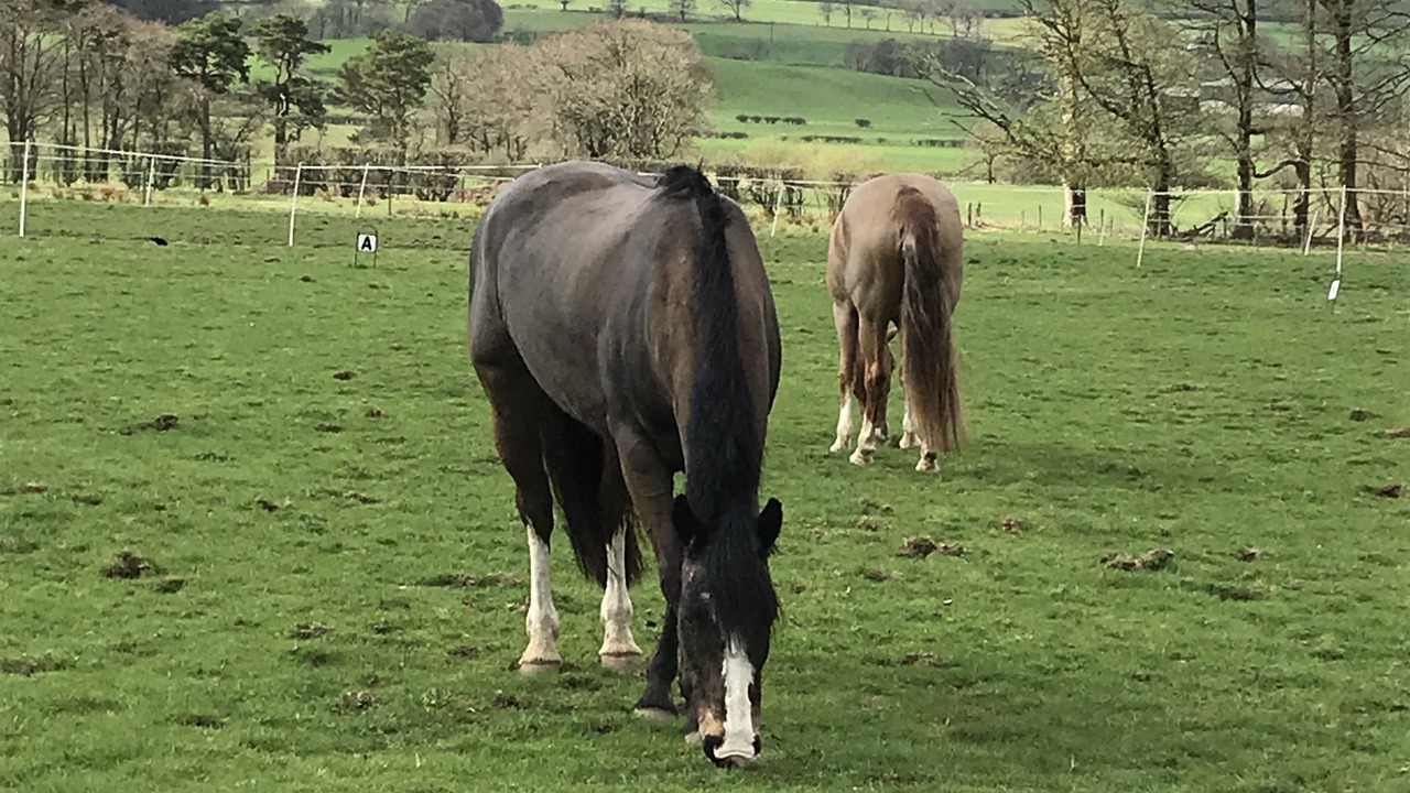 Photo of Outdoor in Glasgow