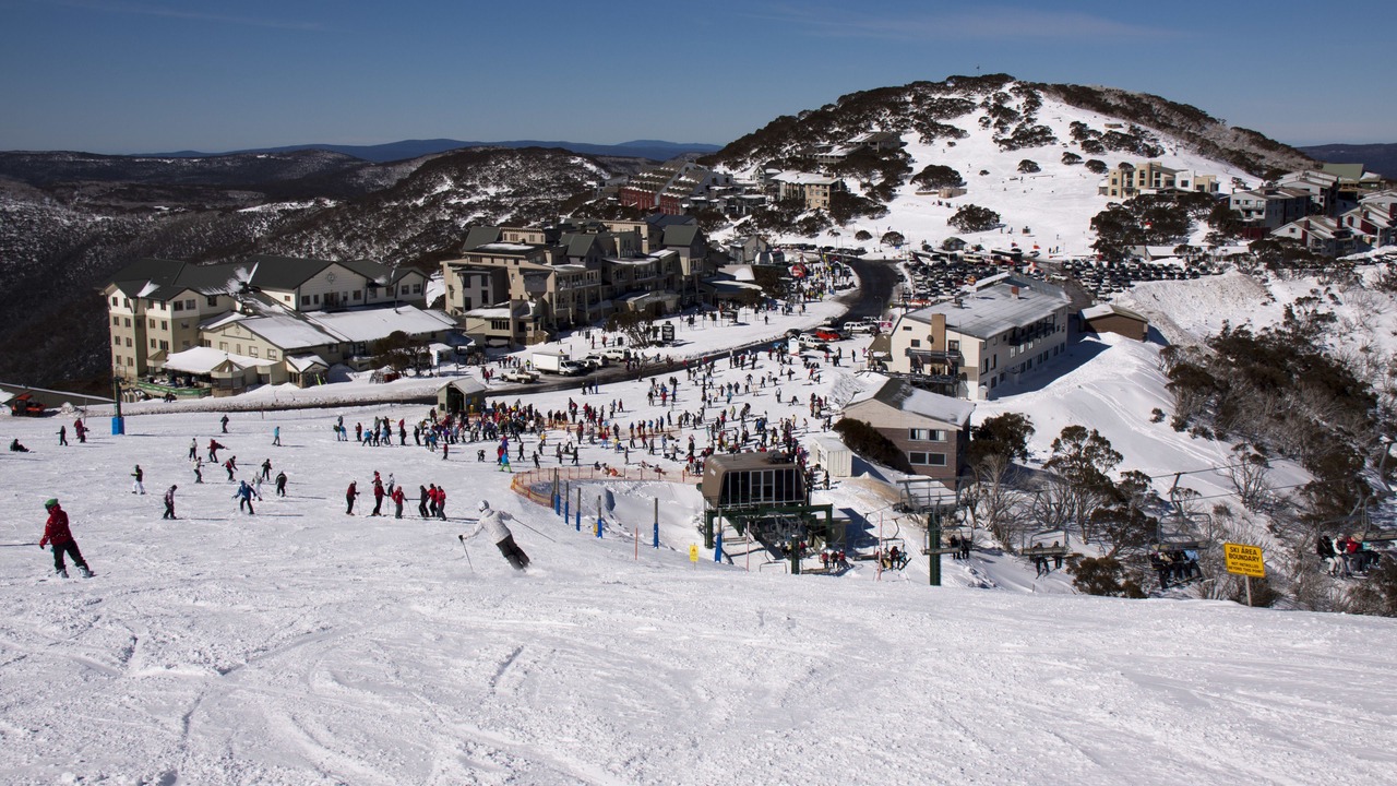 Photo of Others in Hotham Heights