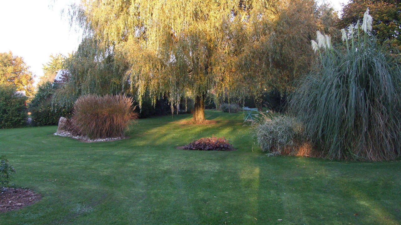 Photo of Others in Gueudecourt