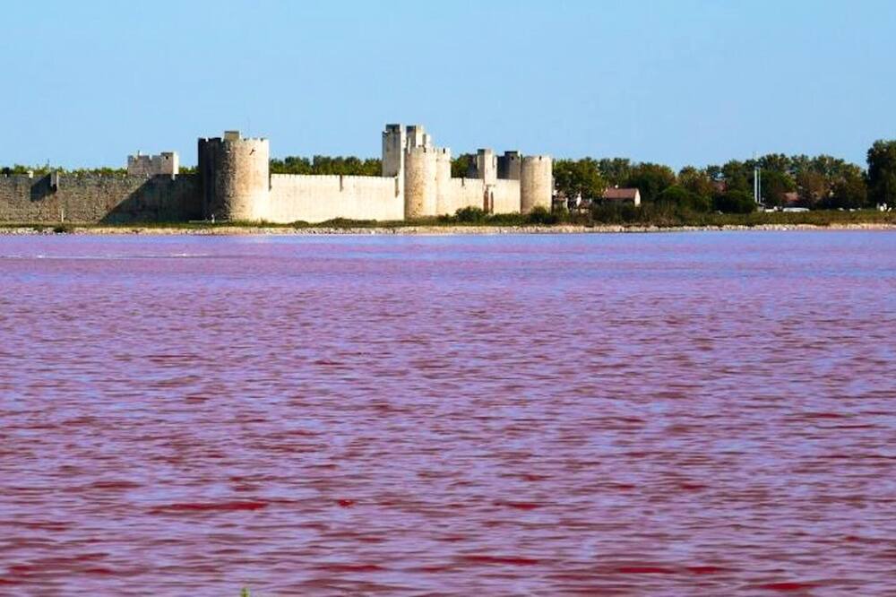 Photo of Others in Aigues-Mortes