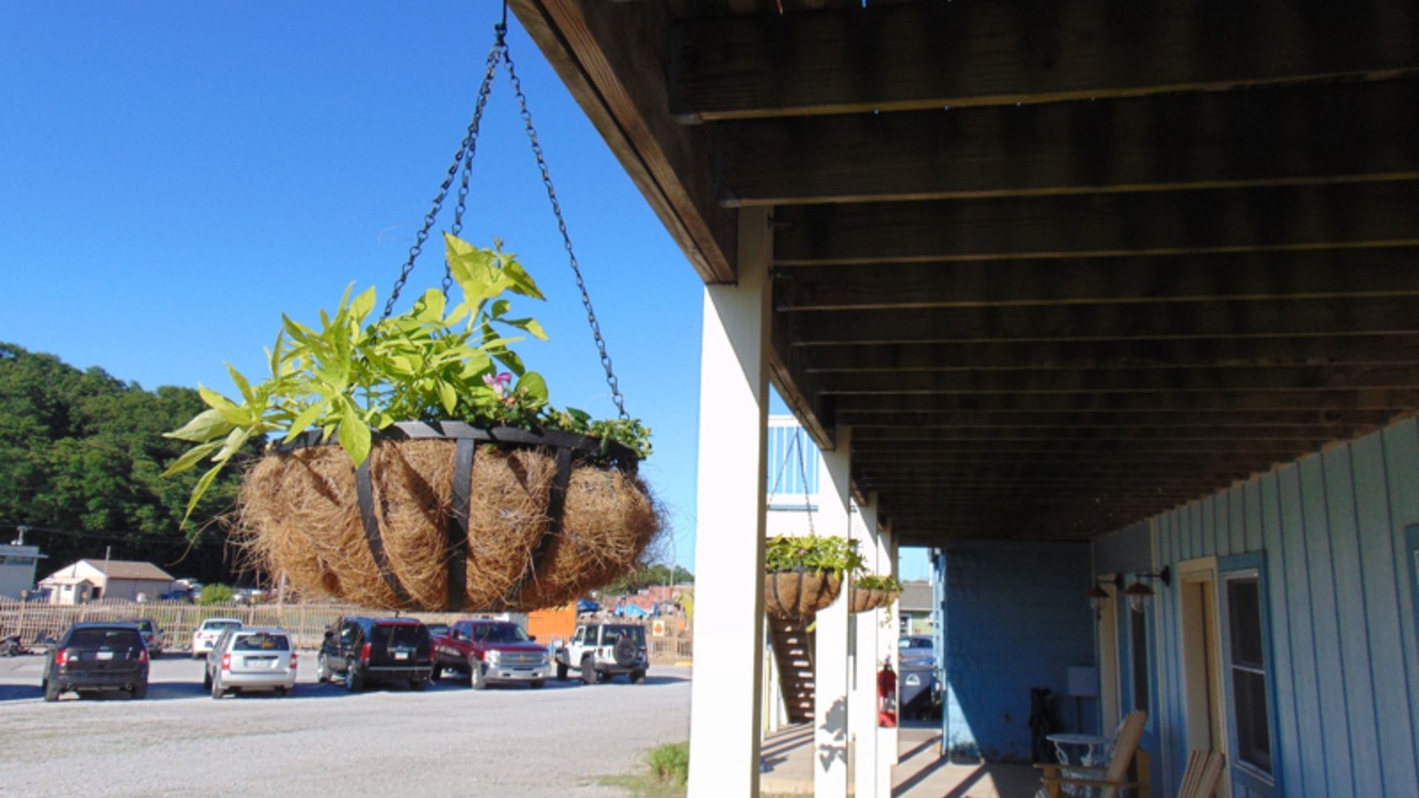 Photo of Outdoor in Michigan City