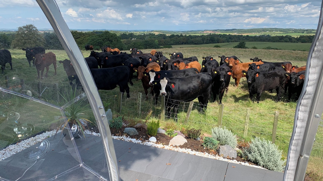 Photo of Outdoor in Alloway