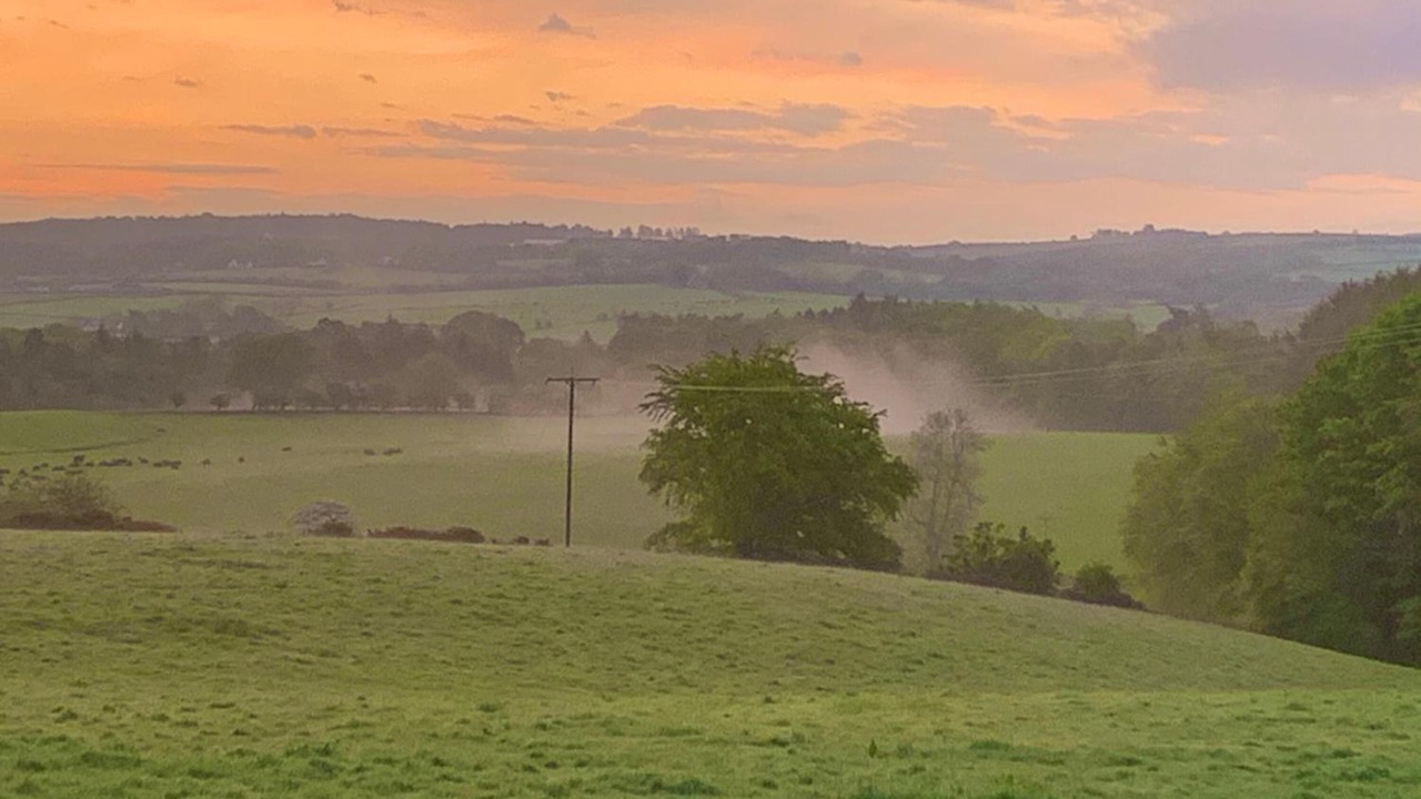 Photo of Outdoor in Alloway