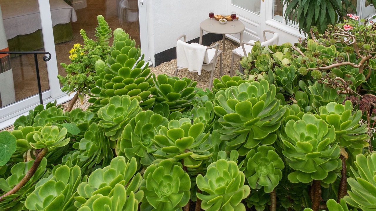 Photo of Others in St Ives