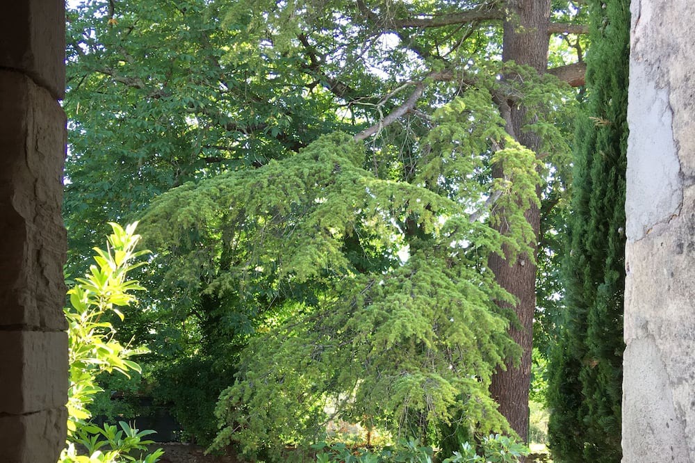 Photo of Outdoor in La Tour-Sur-Orb