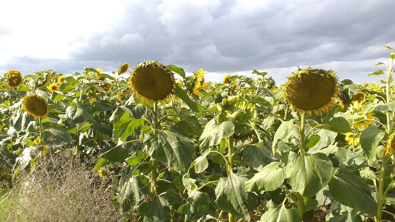 Photo of Outdoor in Grimault