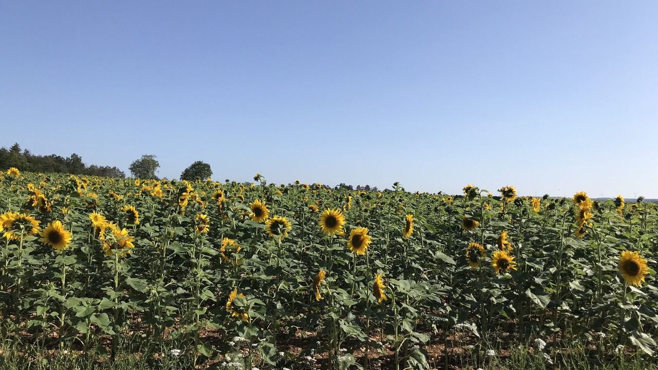 Photo of Outdoor in Grimault