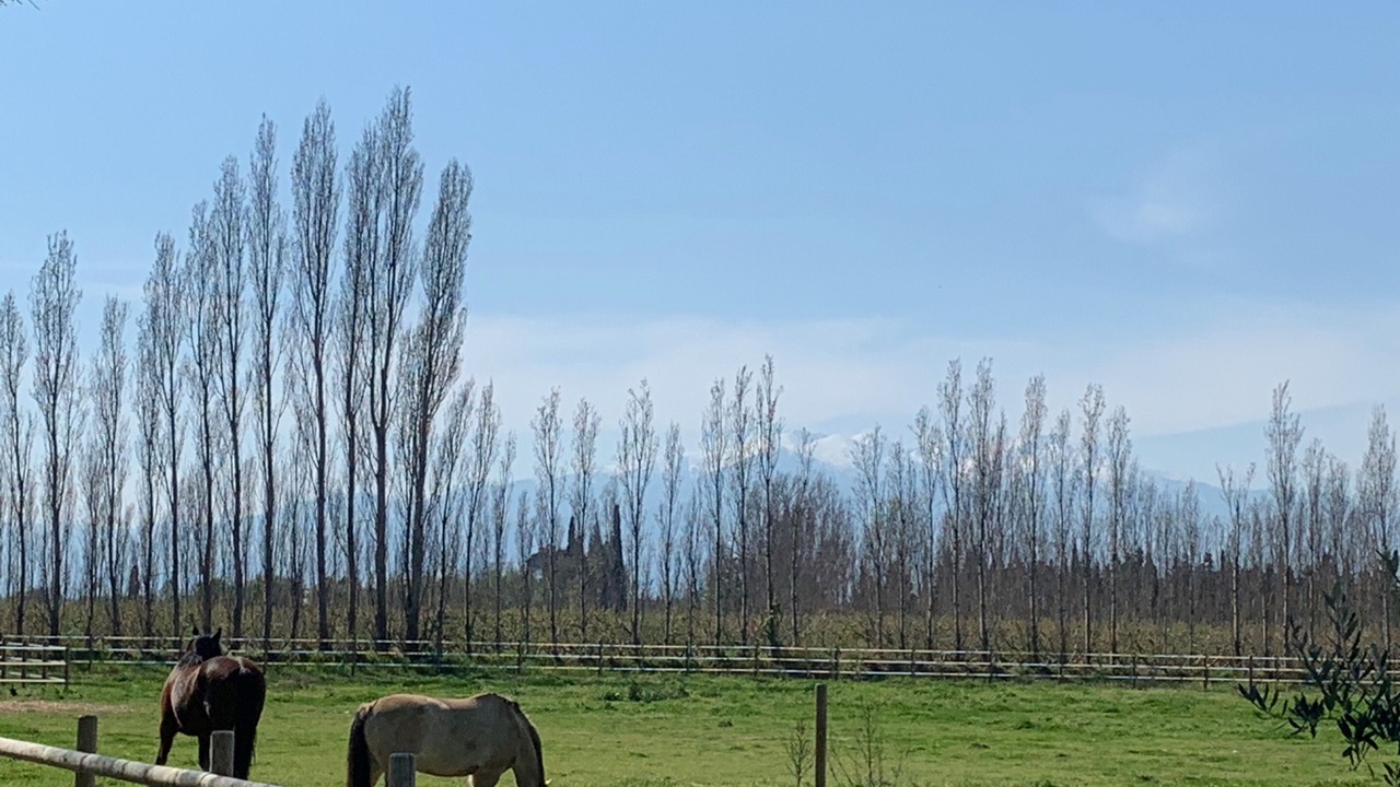 Photo of Outdoor in Saint-Genis