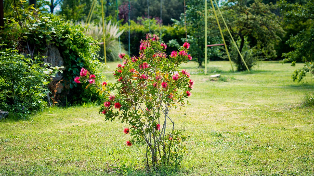 Photo of Others in Sillans-la Cascade