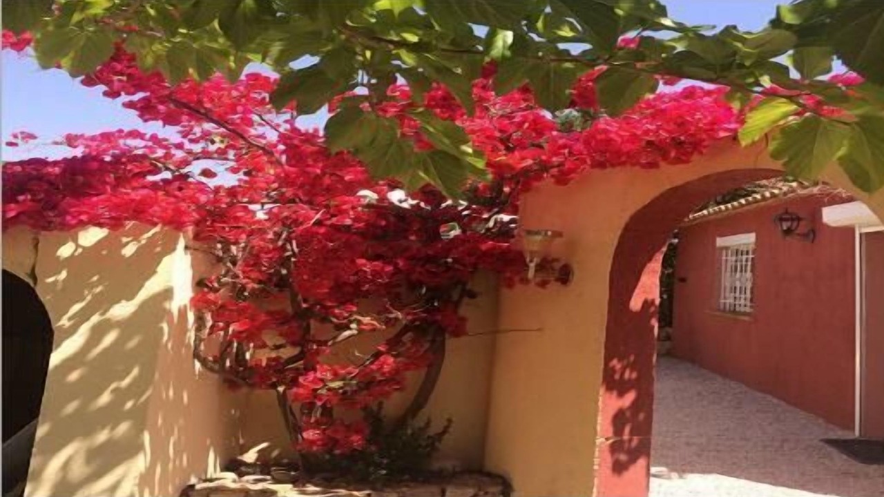 Photo of Outdoor in Calvi