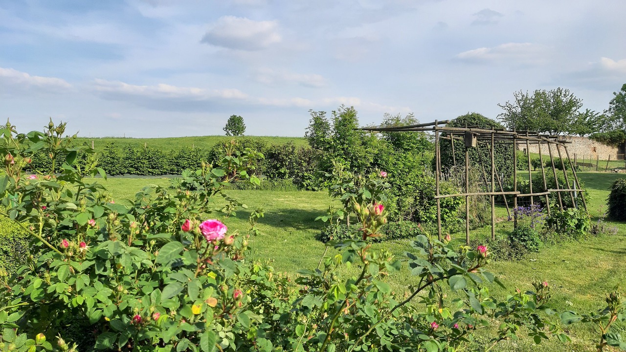 Photo of Outdoor in Saint-Martin-sur-Ecaillon