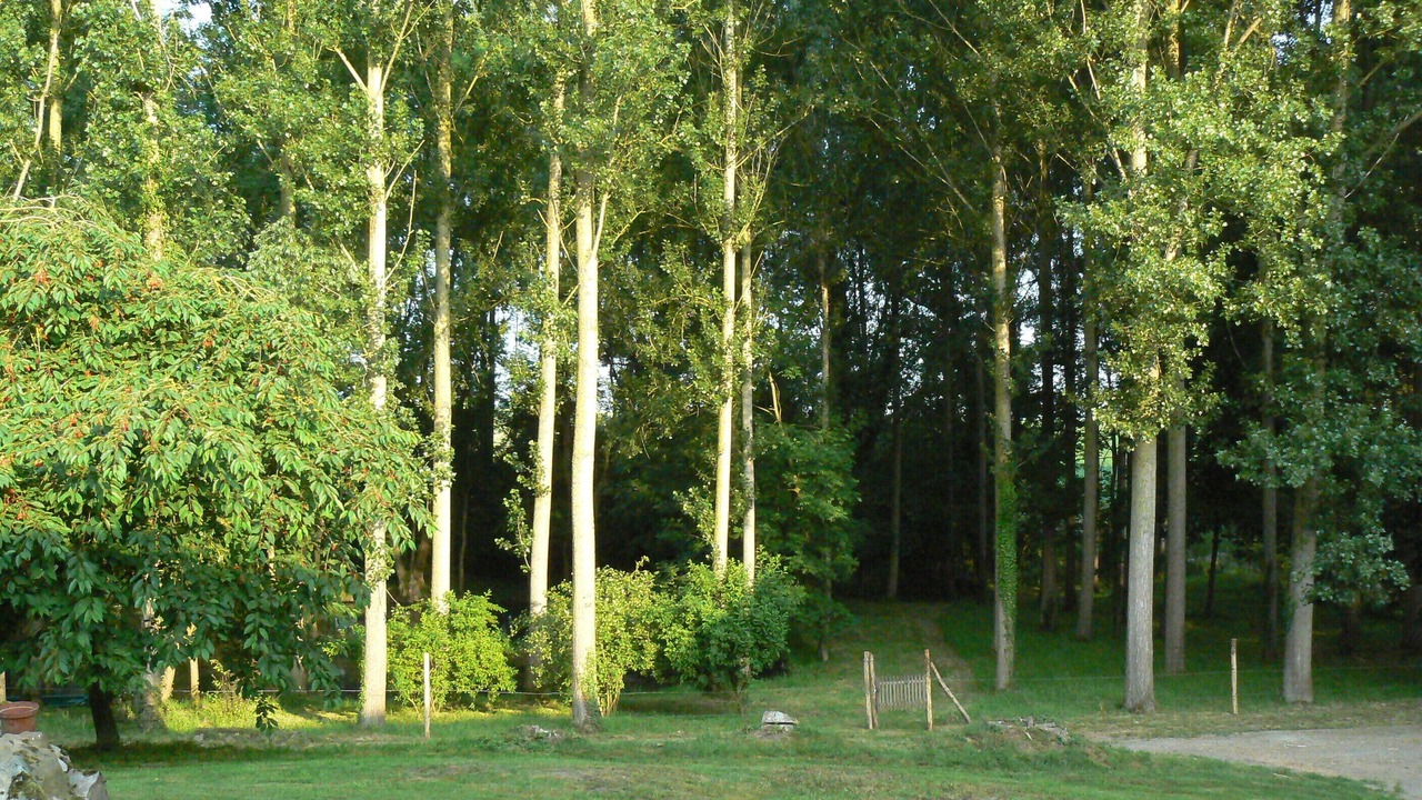 Photo of Outdoor in Saint-Martin-sur-Ecaillon