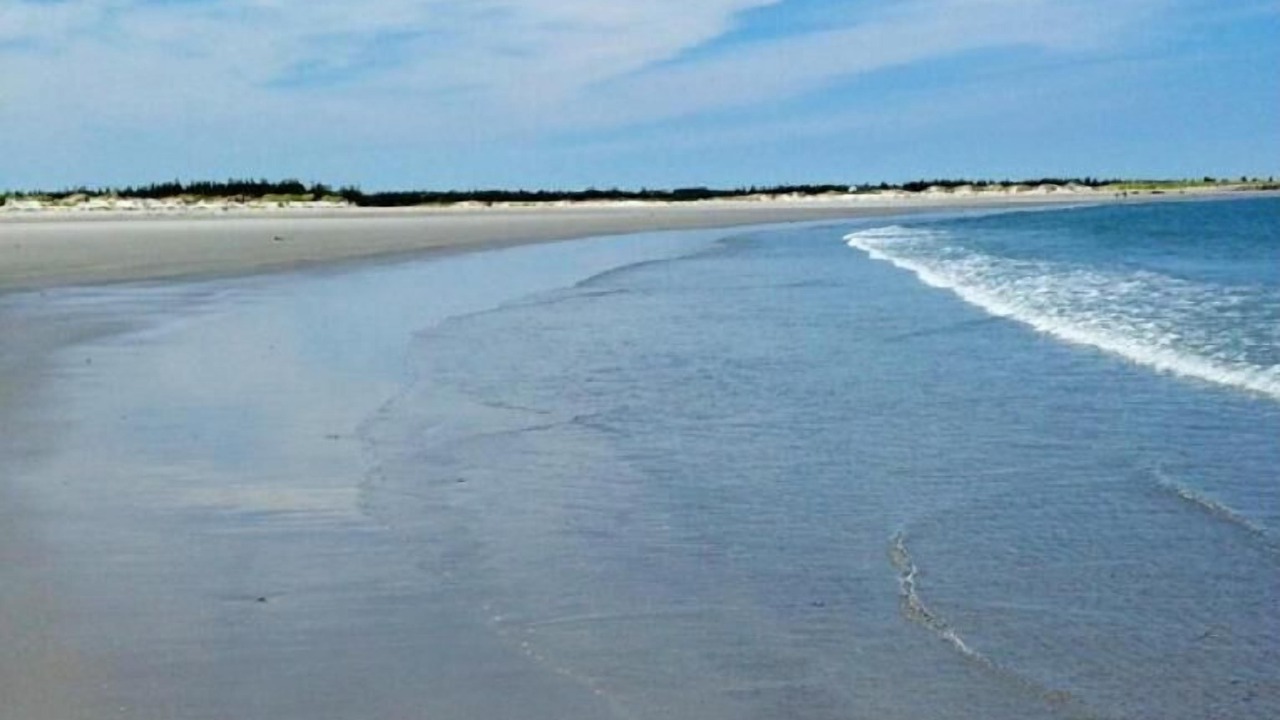 Photo of Others in Clark's Harbour