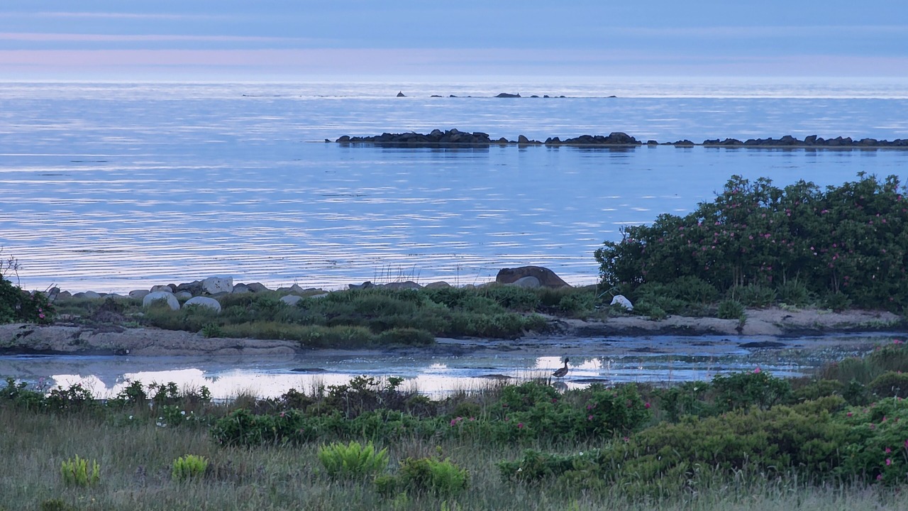 Photo of Patio Balcony in Clark's Harbour