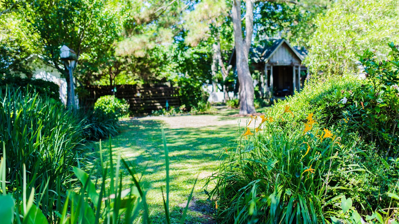 Photo of Outdoor in Historic Downtown Manteo