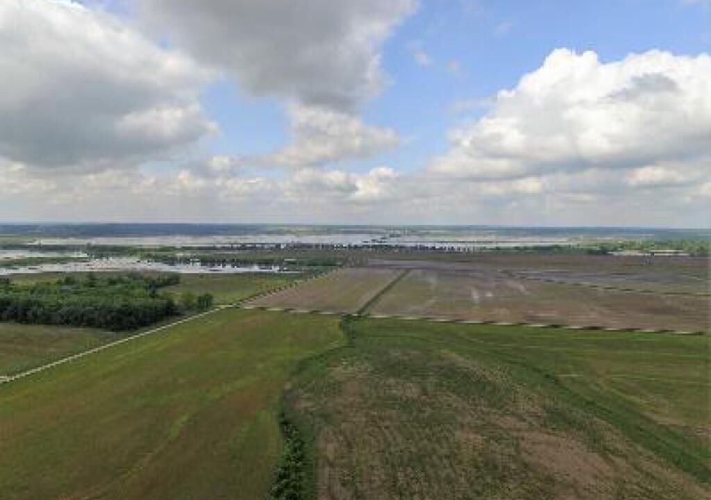 Photo of Others in Lyons