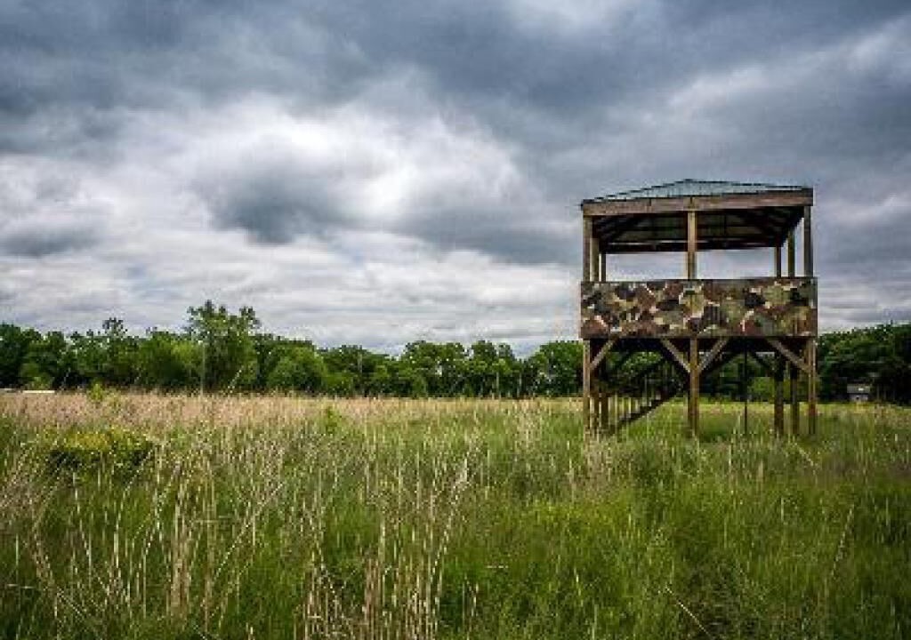 Photo of Others in Lyons