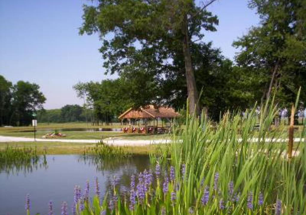 Photo of Others in Lyons