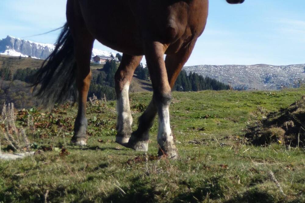 Photo of Others in Sainte-Helene-sur-Isere