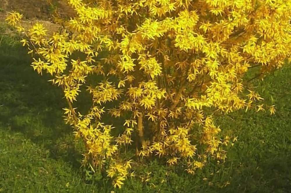 Photo of Outdoor in Sainte-Helene-sur-Isere