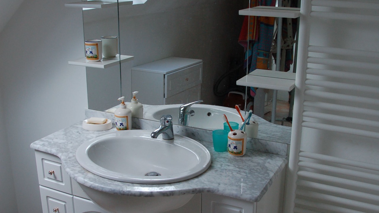 Photo of Bathroom in Saint-Denis-en-Val