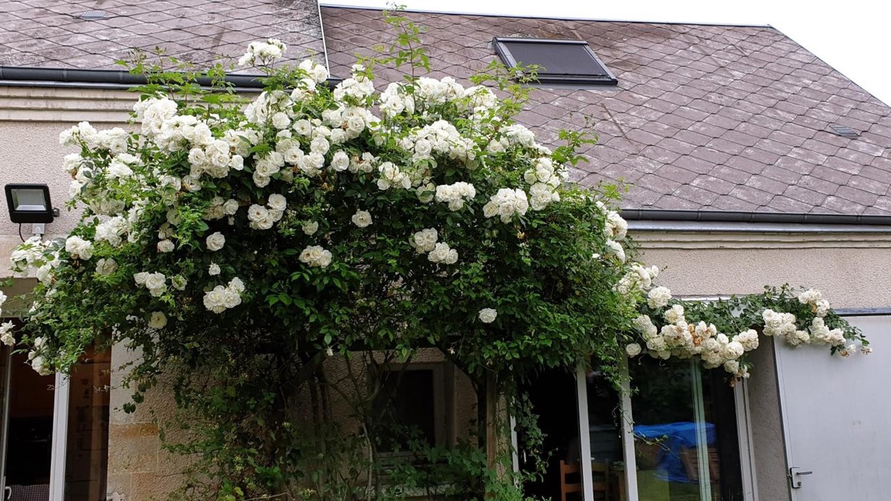 Photo of Outdoor in Saint-Denis-en-Val