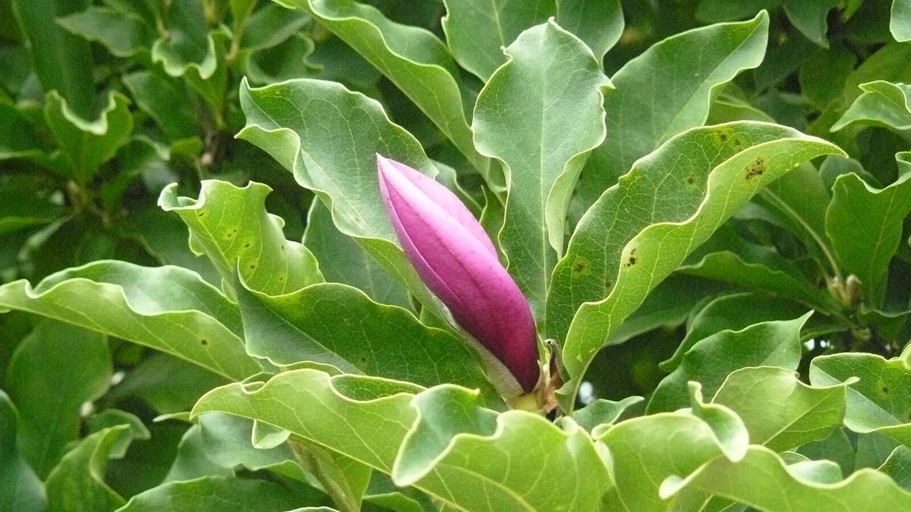 Photo of Outdoor in Heuilley-sur-Saone