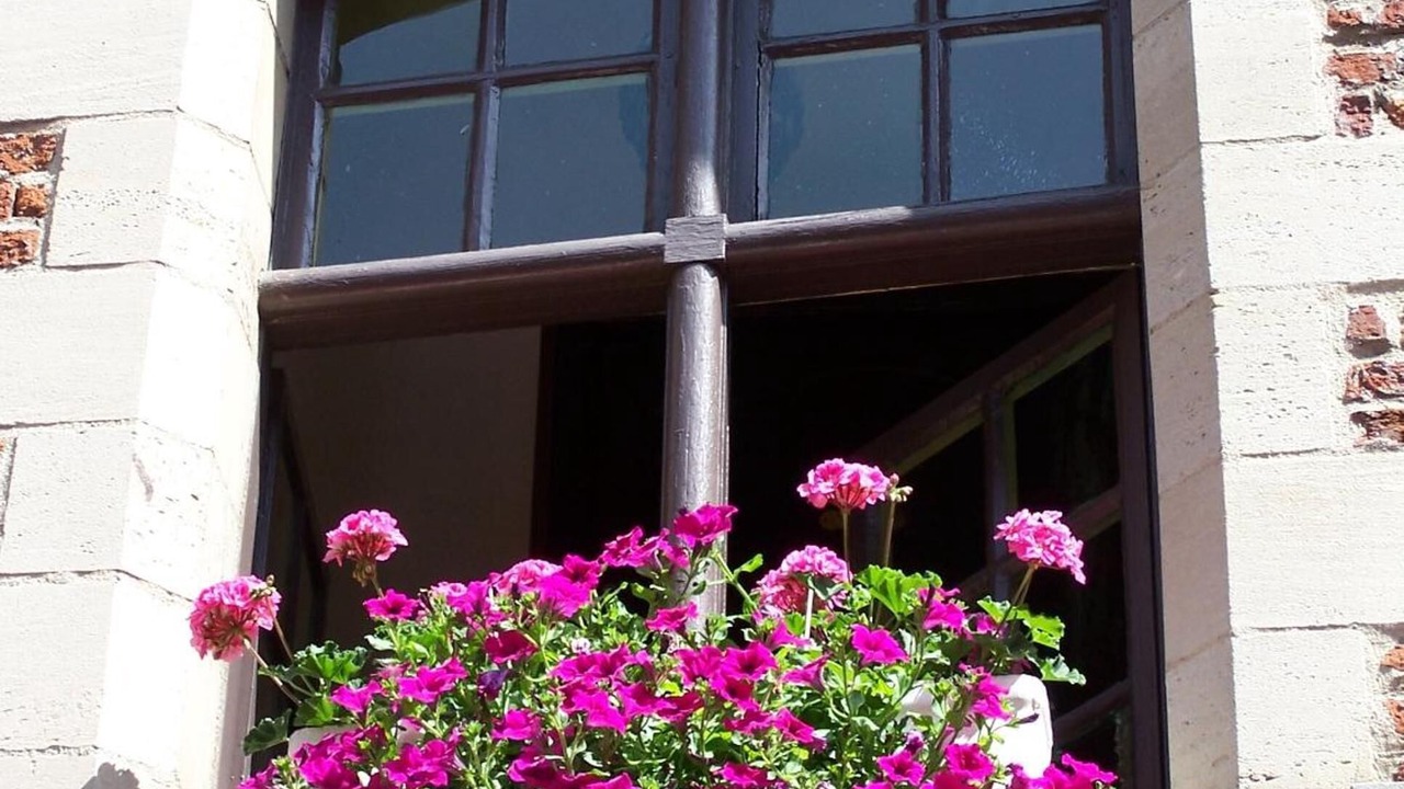 Photo of Outdoor in Valenciennes