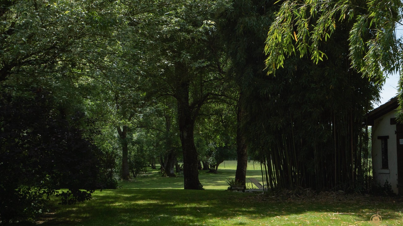 Photo of Others in Mosnac