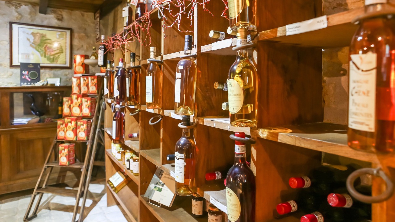 Photo of Others in Mosnac