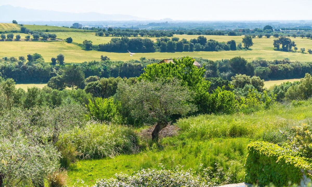 Photo of Outdoor in Avinyonet de Puigventos