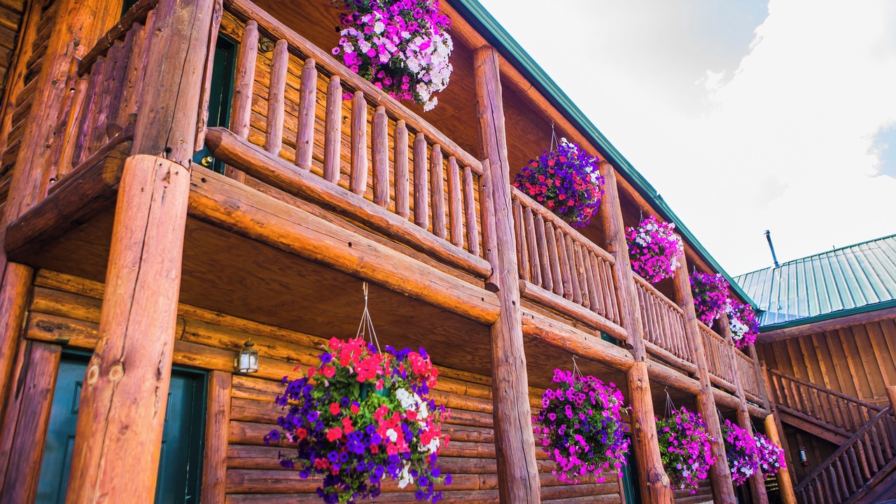 Photo of Outdoor in Last Chance