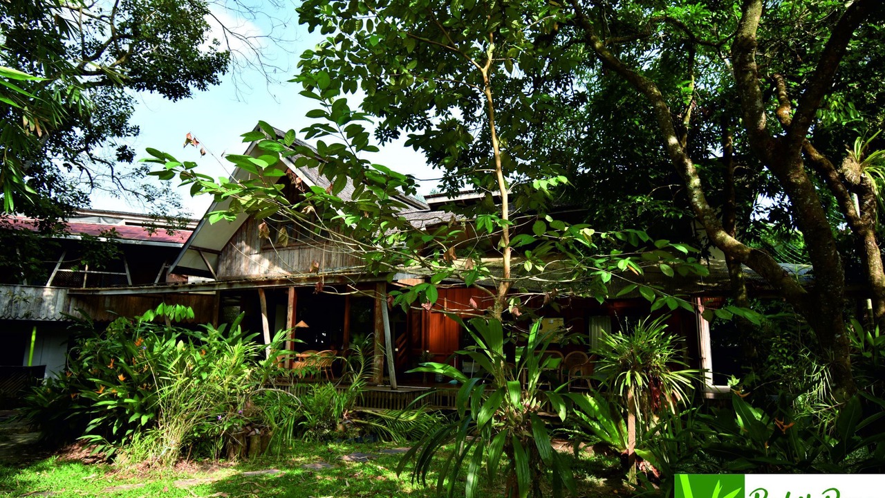 Photo of Outdoor in Palangkaraya