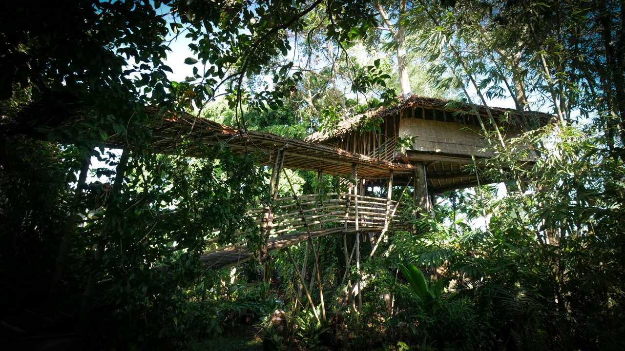 Photo of Others in Palangkaraya