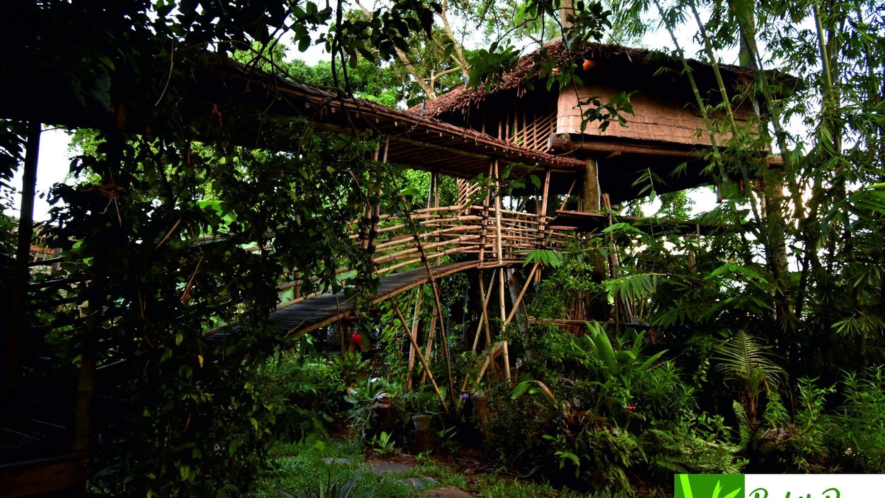 Photo of Others in Palangkaraya